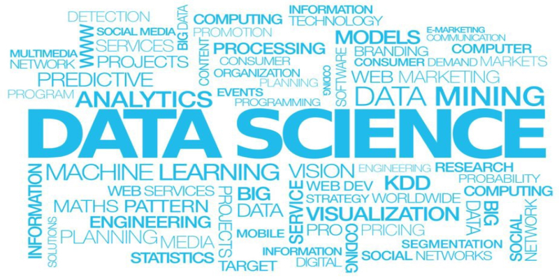Does your company really need a Data Scientist?