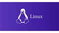 Embedded Linux Developer (OL)