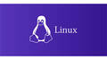 Head of Linux & Databases (DB)